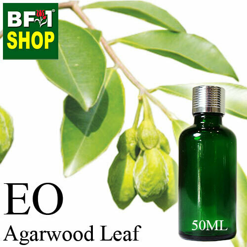 Essential Oil - Agarwood Leaf - 50ml Essential Oil - Agarwood Leaf - 50ml