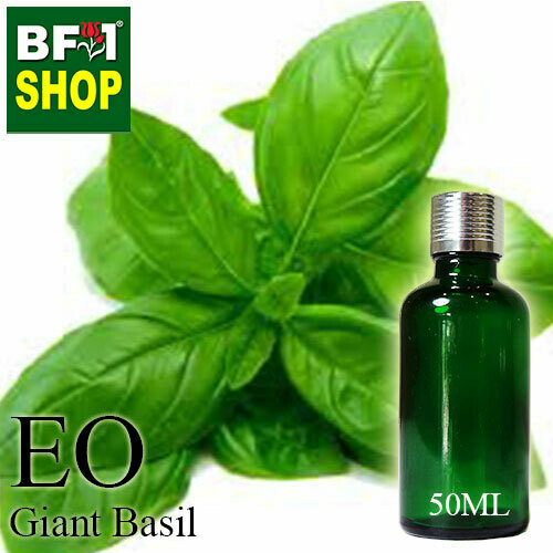 Essential Oil - Basil - Sweet Basil ( Giant Basil ) - 50ml Essential Oil - Basil - Sweet Basil ( Giant Basil ) - 50ml