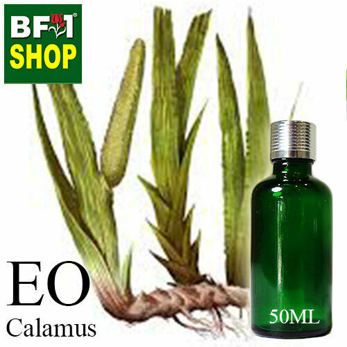 Essential Oil - Calamus - 50ml Essential Oil - Calamus - 50ml