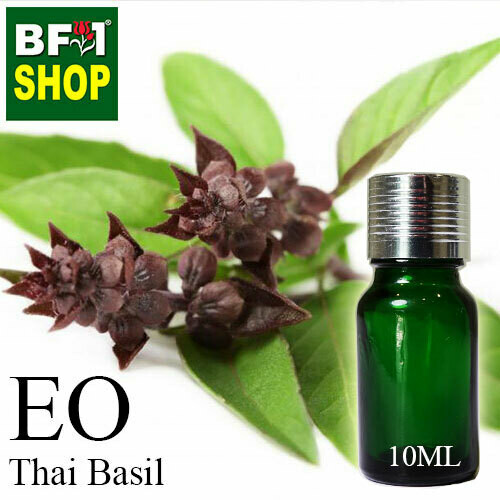 Essential Oil - Basil - Cinnamon Basil ( Thai Basil ) - 10ml Essential Oil - Basil - Cinnamon Basil ( Thai Basil ) - 10ml