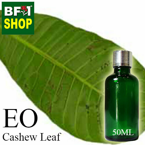Essential Oil - Cashew Leaf ( Anacardium Occidentale ) - 50ml Essential Oil - Cashew Leaf ( Anacardium Occidentale ) - 50ml