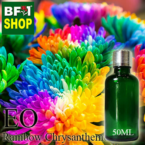 Essential Oil - Chrysanthemum - Rainbow Chrysanthemum - 50ml Essential Oil - Chrysanthemum - Rainbow Chrysanthemum - 50ml