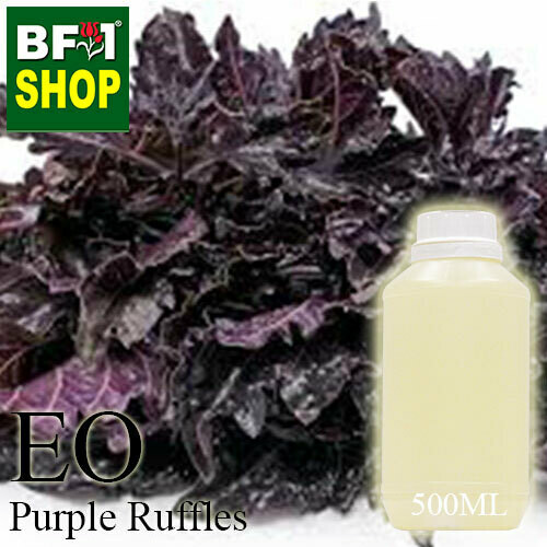 Essential Oil - Basil - Purple Ruffles Basil - 500ml Essential Oil - Basil - Purple Ruffles Basil - 500ml