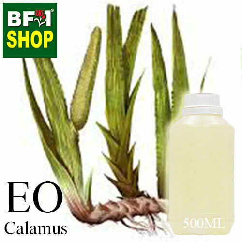 Essential Oil - Calamus - 500ml Essential Oil - Calamus - 500ml