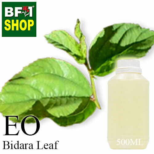 Essential Oil - Bidara Leaf (Zizyphus Mauritiana ) - 500ml Essential Oil - Bidara Leaf (Zizyphus Mauritiana ) - 500ml