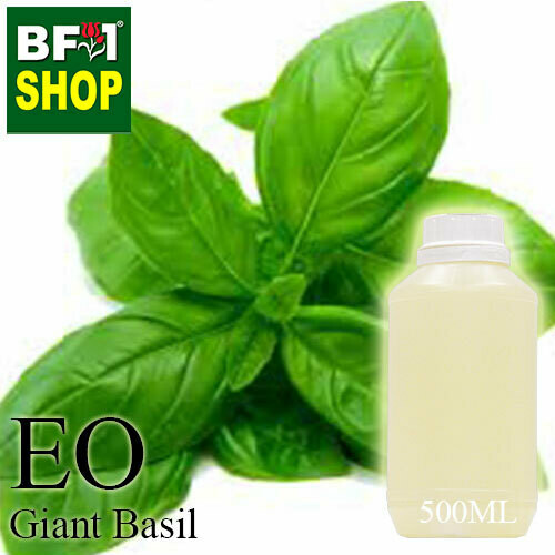 Essential Oil - Basil - Sweet Basil ( Giant Basil ) - 500ml Essential Oil - Basil - Sweet Basil ( Giant Basil ) - 500ml