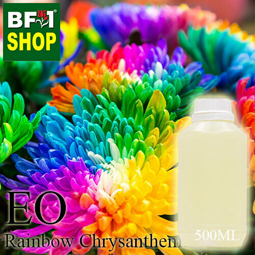 Essential Oil - Chrysanthemum - Rainbow Chrysanthemum - 500ml Essential Oil - Chrysanthemum - Rainbow Chrysanthemum - 500ml