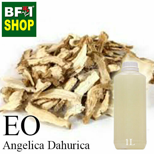 Essential Oil - Angelica Dahurica - 1L Essential Oil - Angelica Dahurica - 1L