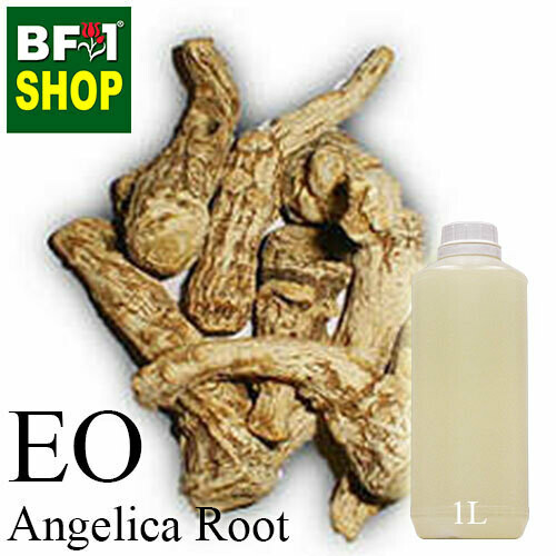 Essential Oil - Angelica Root - 1L Essential Oil - Angelica Root - 1L