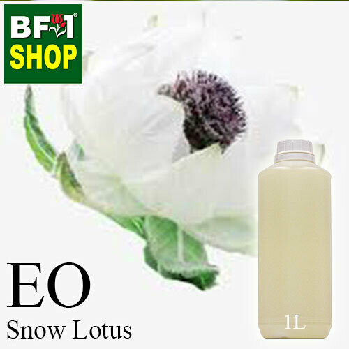 Essential Oil - Snow Lotus ( Saussurea Involucrata ) - 1L Essential Oil - Snow Lotus ( Saussurea Involucrata ) - 1L