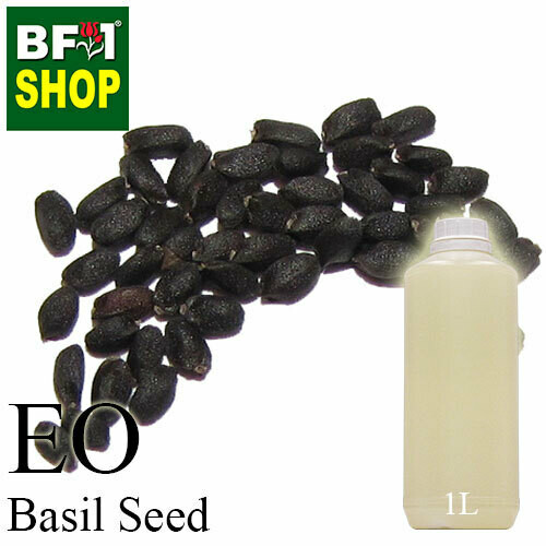 Essential Oil - Basil Seed ( Ocimum Basilcum ) - 1L Essential Oil - Basil Seed ( Ocimum Basilcum ) - 1L
