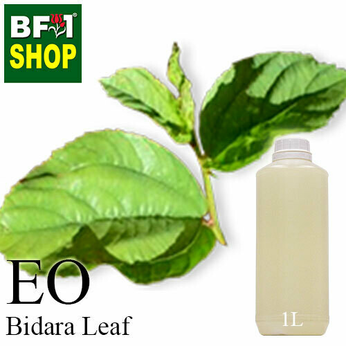 Essential Oil - Bidara Leaf (Zizyphus Mauritiana ) - 1L Essential Oil - Bidara Leaf (Zizyphus Mauritiana ) - 1L