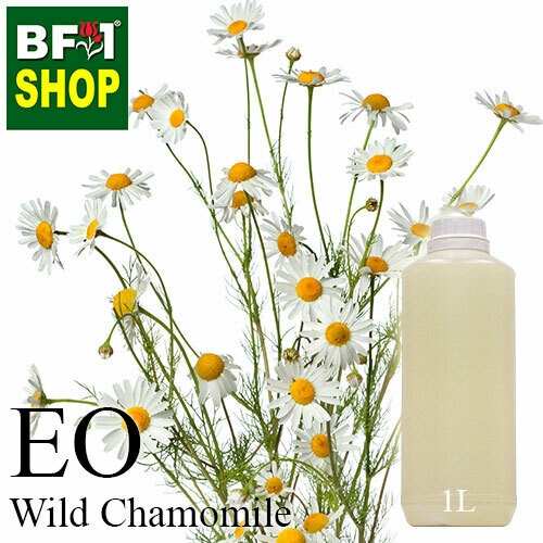 Essential Oil - Chamomile - Wild Chamomile - 1L Essential Oil - Chamomile - Wild Chamomile - 1L