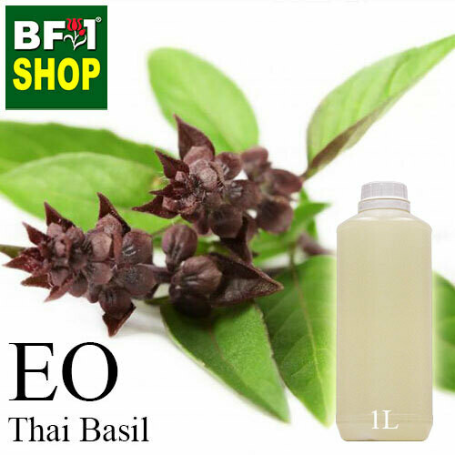 Essential Oil - Basil - Cinnamon Basil ( Thai Basil ) - 1L Essential Oil - Basil - Cinnamon Basil ( Thai Basil ) - 1L