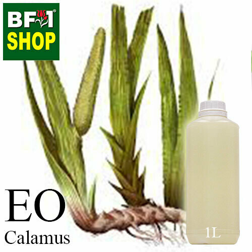 Essential Oil - Calamus - 1L Essential Oil - Calamus - 1L
