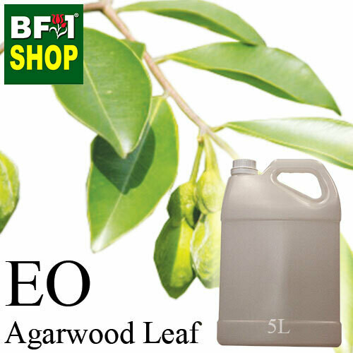 Essential Oil - Agarwood Leaf - 5L Essential Oil - Agarwood Leaf - 5L