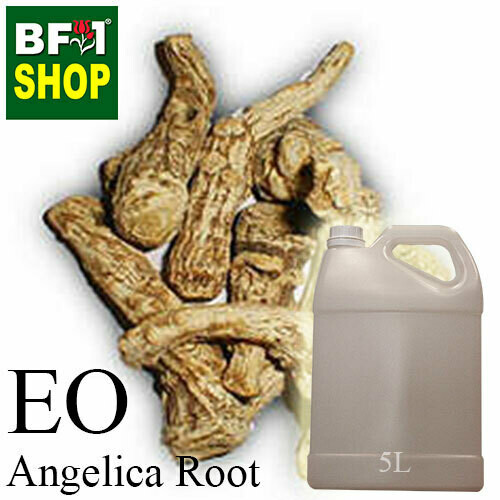 Essential Oil - Angelica Root - 5L Essential Oil - Angelica Root - 5L