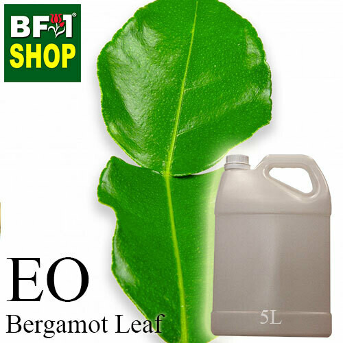 Essential Oil - Bergamot Leaf - 5L Essential Oil - Bergamot Leaf - 5L