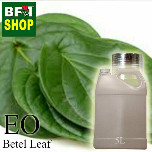 Essential Oil - Betel Leaf ( Daun Sireh ) - 5L Essential Oil - Betel Leaf ( Daun Sireh ) - 5L