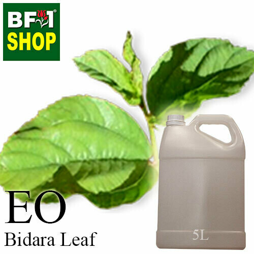 Essential Oil - Bidara Leaf (Zizyphus Mauritiana ) - 5L Essential Oil - Bidara Leaf (Zizyphus Mauritiana ) - 5L