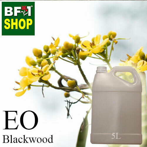Essential Oil - Black Wood - 5L Essential Oil - Black Wood - 5L