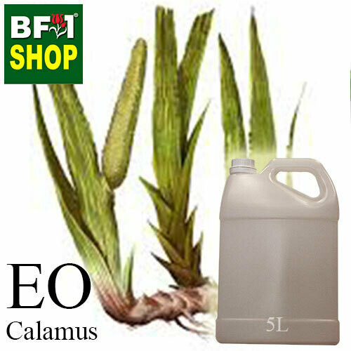 Essential Oil - Calamus - 5L Essential Oil - Calamus - 5L