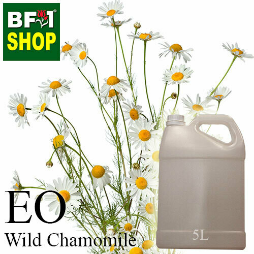 Essential Oil - Chamomile - Wild Chamomile - 5L Essential Oil - Chamomile - Wild Chamomile - 5L