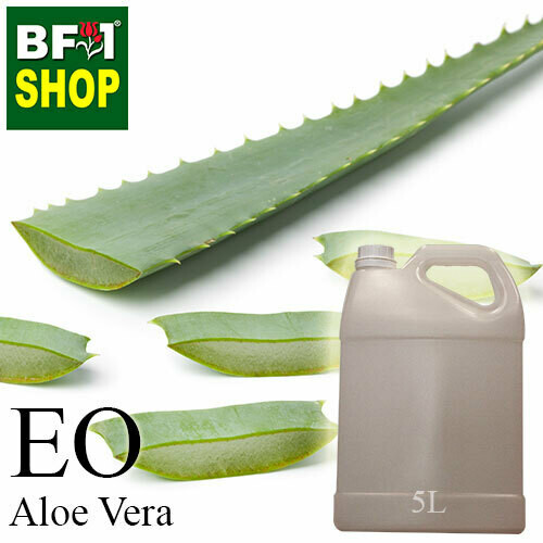 Essential Oil - Aloe Vera - 5L Essential Oil - Aloe Vera - 5L