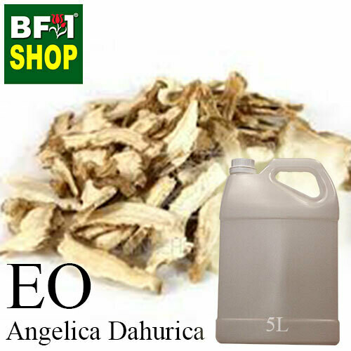 Essential Oil - Angelica Dahurica - 5L Essential Oil - Angelica Dahurica - 5L