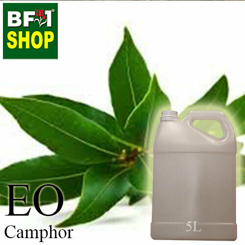 Essential Oil - Camphor - 5L Essential Oil - Camphor - 5L