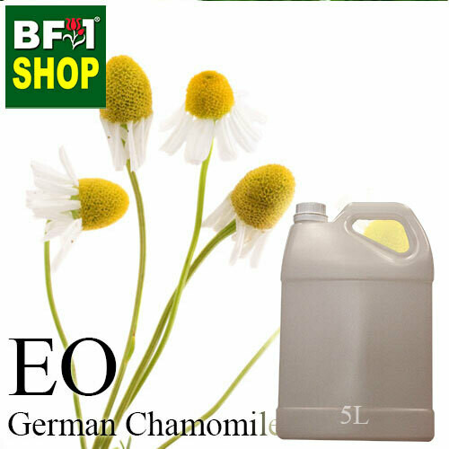 Essential Oil - Chamomile - German Chamomile - 5L Essential Oil - Chamomile - German Chamomile - 5L