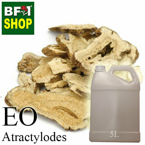 Essential Oil - Atractylodes - 5L Essential Oil - Atractylodes - 5L