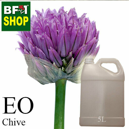 Essential Oil - Chive ( Allium schoenoprasum L ) - 5L Essential Oil - Chive ( Allium schoenoprasum L ) - 5L