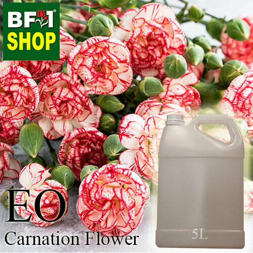 Essential Oil - Carnation Flower - 5L Essential Oil - Carnation Flower - 5L