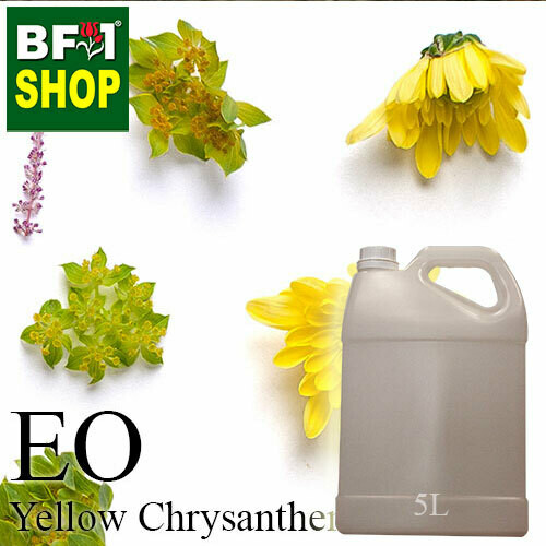 Essential Oil - Chrysanthemum - Yellow Chrysanthemum - 5L Essential Oil - Chrysanthemum - Yellow Chrysanthemum - 5L