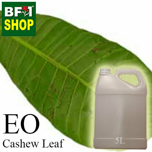 Essential Oil - Cashew Leaf ( Anacardium Occidentale ) - 5L Essential Oil - Cashew Leaf ( Anacardium Occidentale ) - 5L