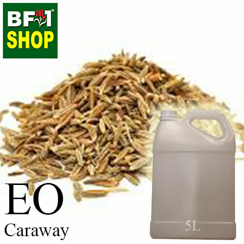 Essential Oil - Caraway - 5L Essential Oil - Caraway - 5L