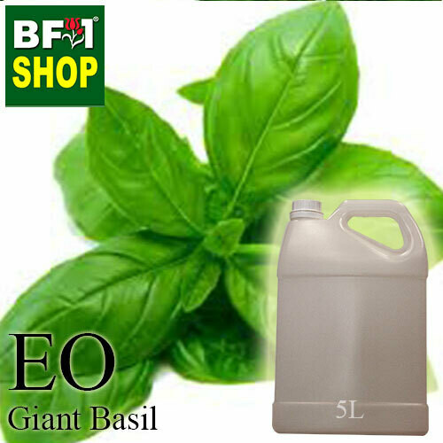 Essential Oil - Basil - Sweet Basil ( Giant Basil ) - 5L Essential Oil - Basil - Sweet Basil ( Giant Basil ) - 5L