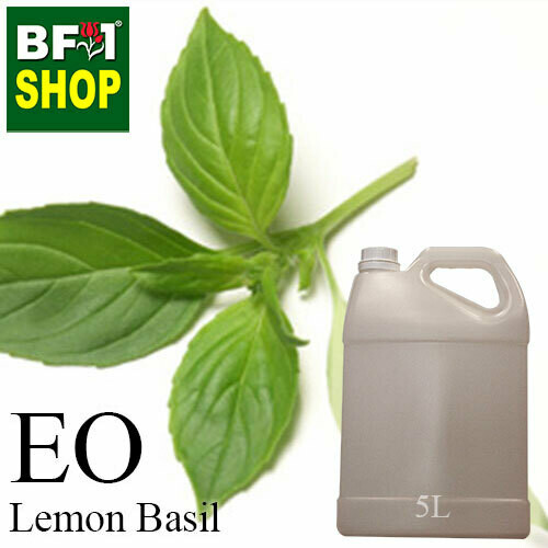 Essential Oil - Basil - Lemon Basil ( Citriodorum Basil ) - 5L Essential Oil - Basil - Lemon Basil ( Citriodorum Basil ) - 5L