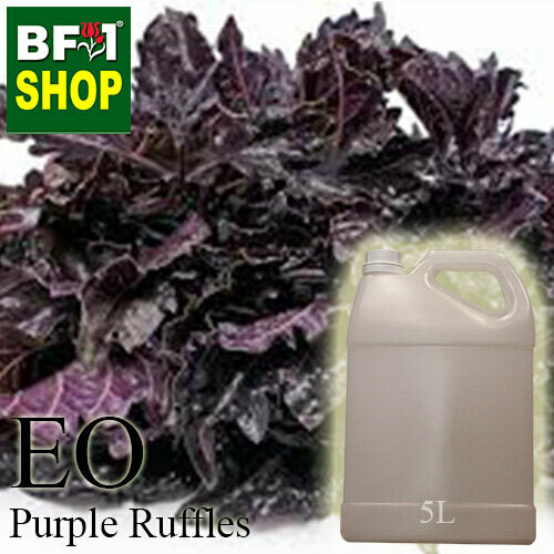 Essential Oil - Basil - Purple Ruffles Basil - 5L Essential Oil - Basil - Purple Ruffles Basil - 5L