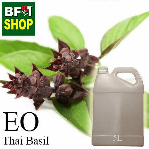 Essential Oil - Basil - Cinnamon Basil ( Thai Basil ) - 5L Essential Oil - Basil - Cinnamon Basil ( Thai Basil ) - 5L