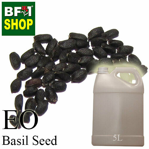 Essential Oil - Basil Seed ( Ocimum Basilcum )- 5L Essential Oil - Basil Seed ( Ocimum Basilcum )- 5L