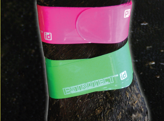 ESTROTECT™ID Bands (30) S083