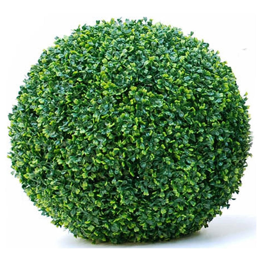 Зеленый кустарник. Boxwood Ball. Зеленые кусты. Салатовый куст. Ярко зеленые кусты.