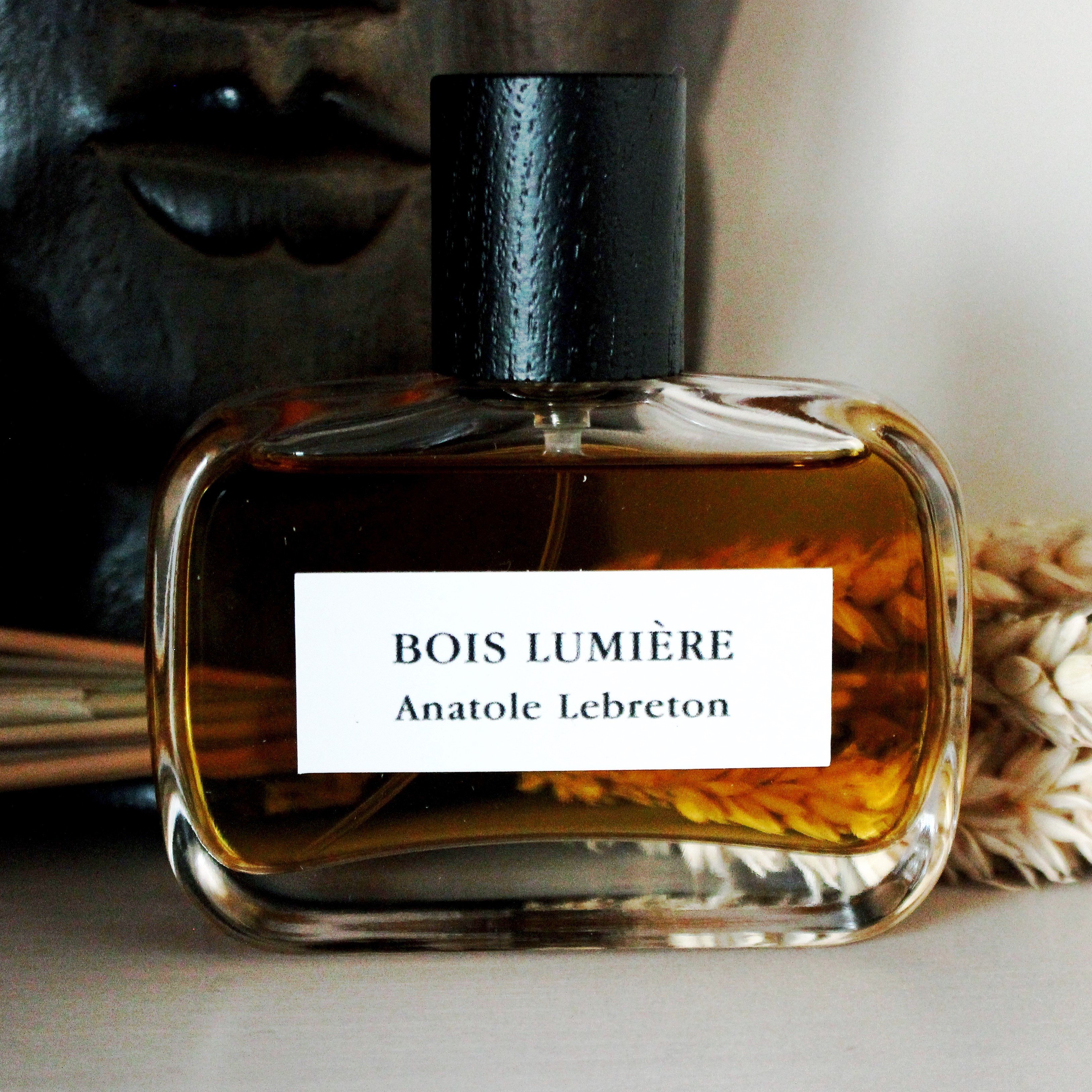 BOIS LUMIERE BOIS