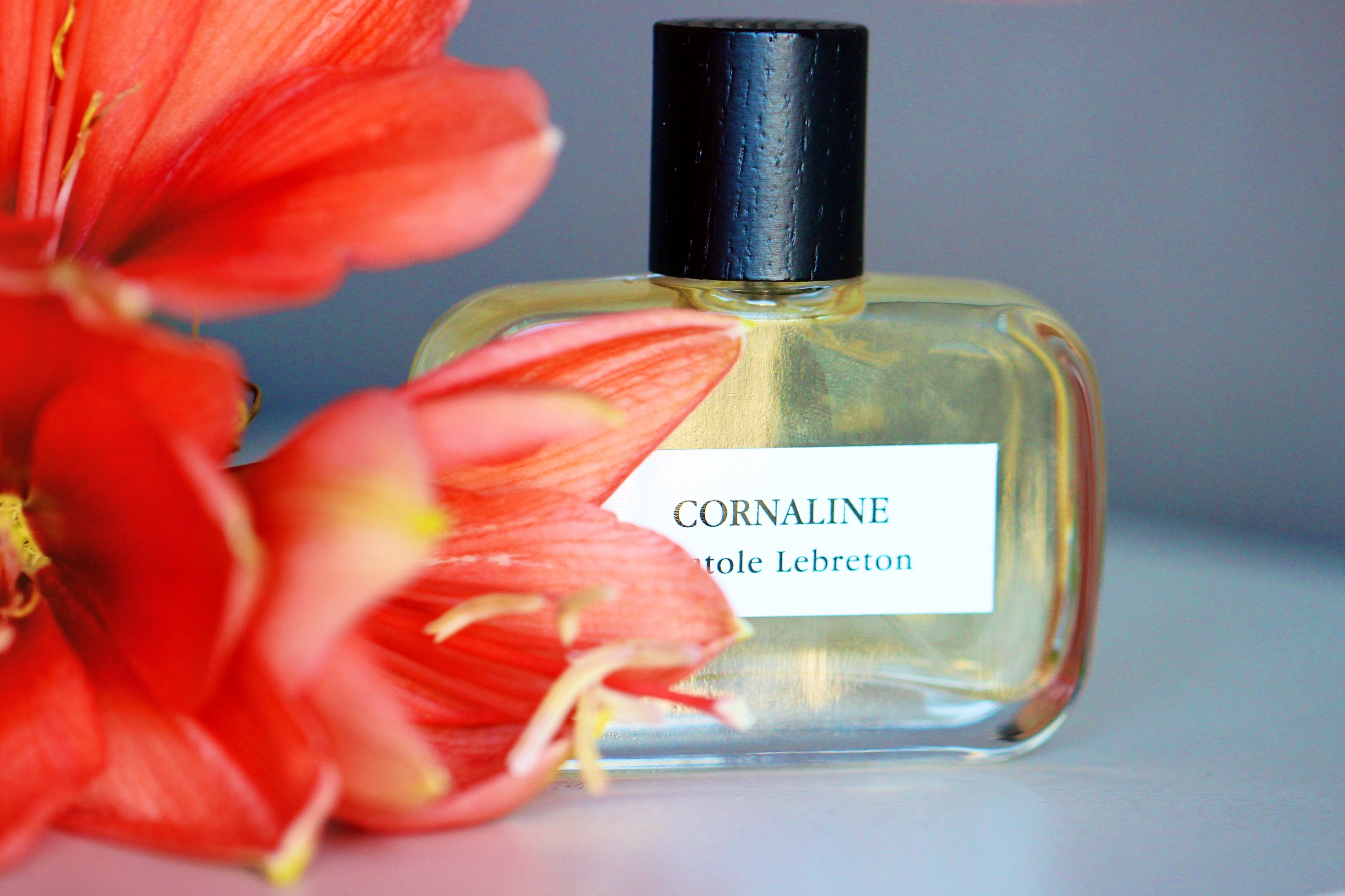 CORNALINE