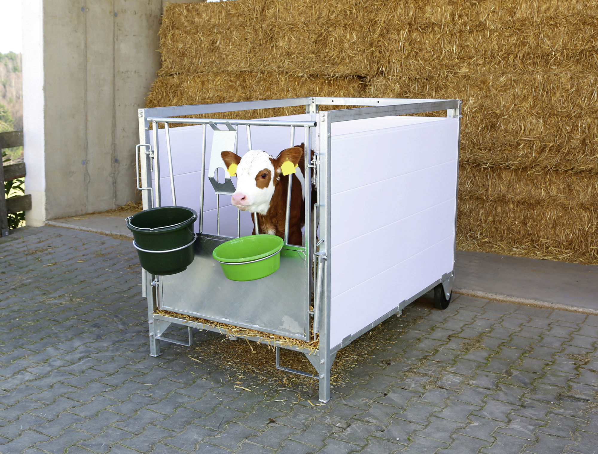 Kälberbox