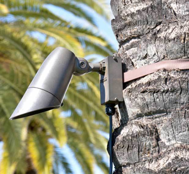 2" Tree Strap Mounting System With BRS Box & 6 Ft Strap Online Store