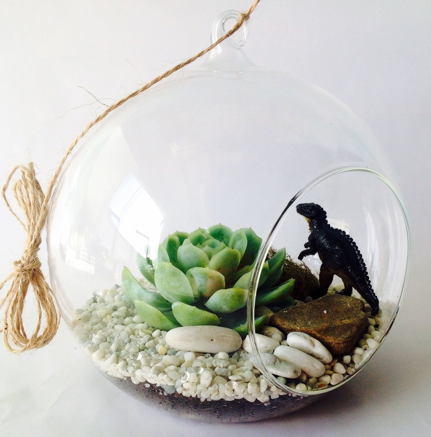 Hanging Orb Terrarium Hanging Orb Terrarium