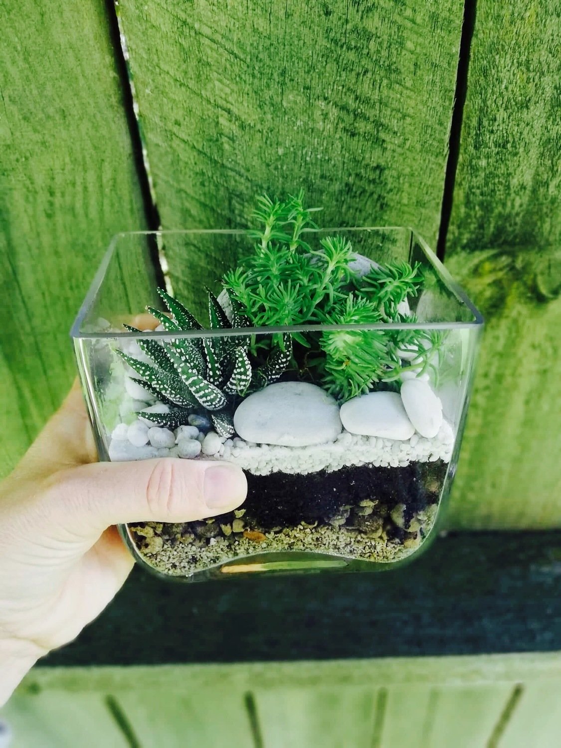 Rectangle Terrarium Rectangle Terrarium